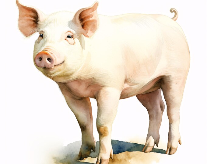 Watercolor Pig Clipart: Farm Animal JPG Images (Commercial Use, Instant Download)