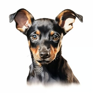 Clipart chien Terrier de Manchester, images de chiot, 10 cliparts aquarelle, fichiers JPG imprimables, téléchargement immédiat, usage commercial, créations en papier