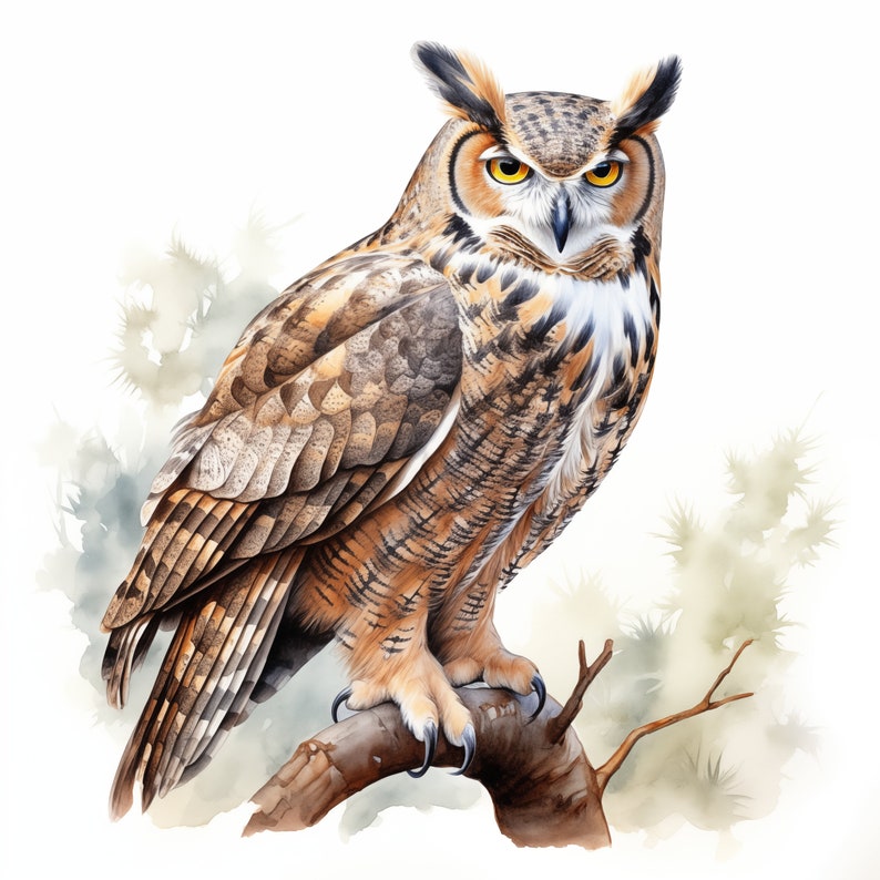 Washed Owl Owl Clipart, Great Horned Owl Images, 10 Watercolor Clip Art, Printable ...