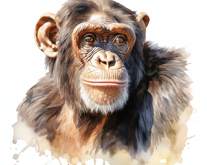 Chimpanzee Clipart, Monkey Images, 10 Watercolor Clip Art, Printable JPGs, Instant Download, Commercial Use, Paper craft