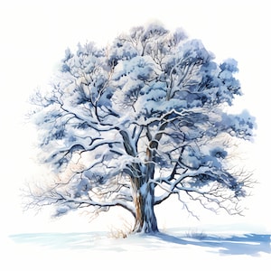 Clipart albero congelato, immagini albero invernale, 10 clipart acquerello, JPG stampabili, download istantaneo, uso commerciale, artigianato con la carta