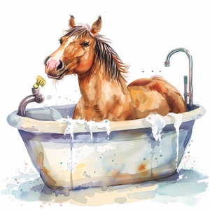 Clipart paard in bad, afbeeldingen wassen paard, 10 aquarel illustraties, afdrukbare JPG's, Instant Download, Commercieel gebruik, Papercraft