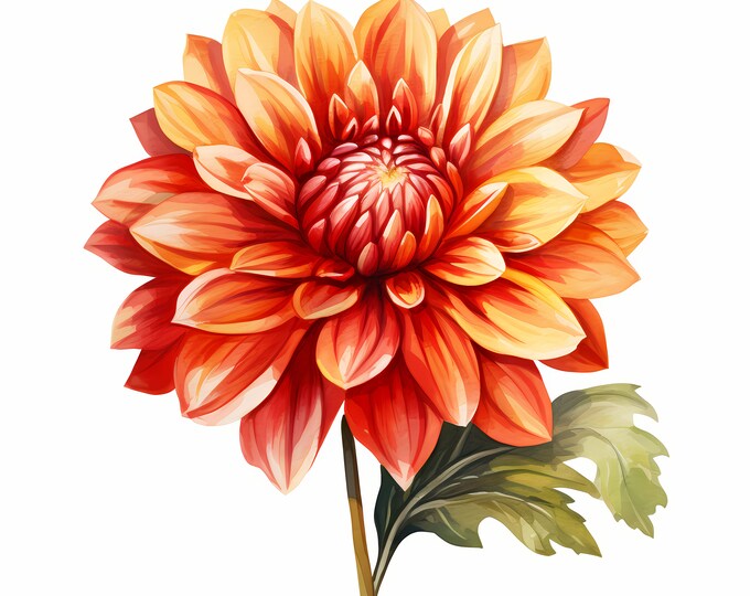 Dahlia Clipart, Dahlia Flower, Wild Flowers Images, 10 Watercolor Clip Art, Printable JPGs, Instant Download, Commercial Use, Paper craft