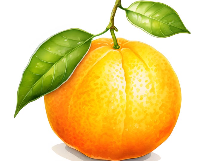 Clementine Clipart, Tangerine Images, 10 Watercolor Clip Art, Printable JPGs, Instant Download, Commercial Use, Paper craft
