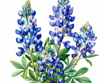 Texas Bluebonnet Clipart, Bluebonnet Wildflowers Images, 10 Watercolor Clip Art, Printable JPGs, Instant Download, Commercial Use