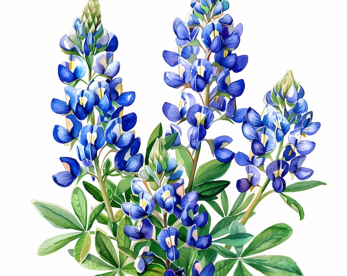 Texas Bluebonnet Clipart, Bluebonnet Wildflowers Images, 10 Watercolor Clip Art, Printable JPGs, Instant Download, Commercial Use