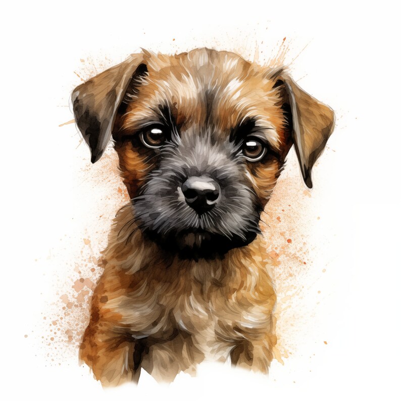Border Terrier Clipart, Puppy Dog Images, 10 Watercolor Clip Art