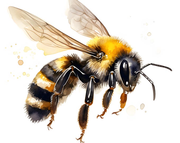 Bumblebee In Flight Clipart, Flying Honey Bee Images, 10 Watercolor Clip Art, Printable JPGs, Instant Download, Commercial Use, Paper craft