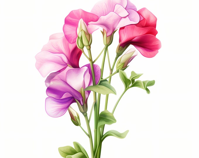 Sweet Pea Clipart, Sweet Pea Flowers Images, 10 Watercolor Clip Art, Printable JPGs, Instant Download, Commercial Use, Paper craft
