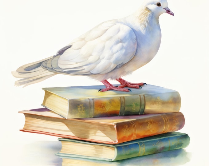White Dove on Books Clipart, Peace Bird Images, 10 Watercolor Clip Art, Printable JPGs, Instant Download, Commercial Use, Paper craft