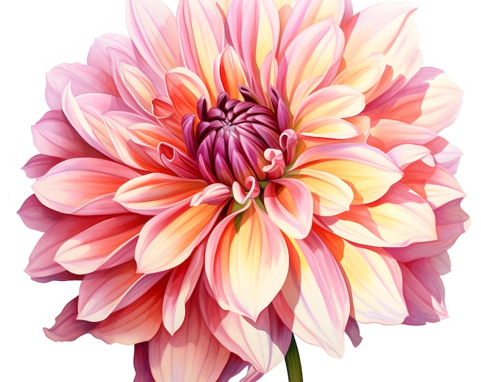 Dahlia Clipart, Dahlia Flowers Images, 10 Watercolor Clip Art, Printable JPGs, Instant Download, Commercial Use, Paper craft