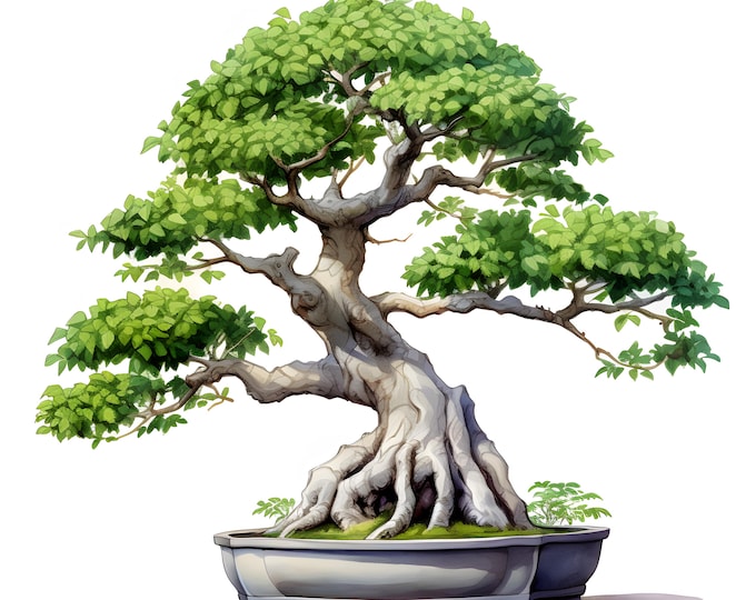 Bonsai Clipart, Botanical Trees Images, 10 Watercolor Clip Art, Printable JPGs, Instant Download, Commercial Use, Paper craft