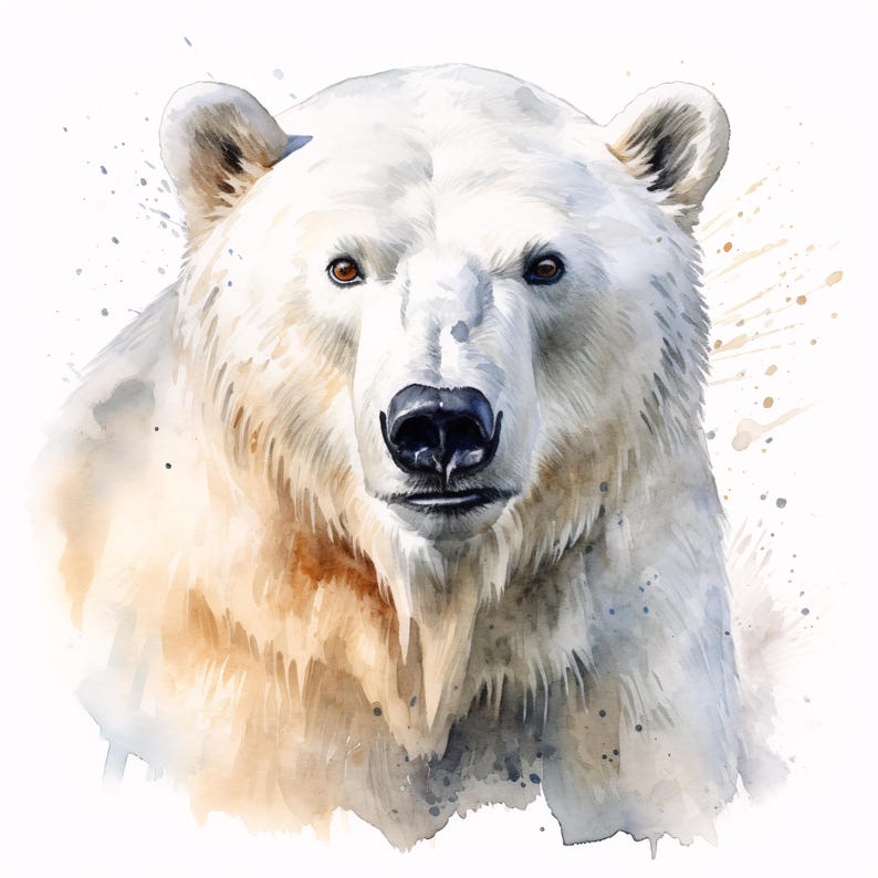 Polar Bear Clipart, Arctic Animal Images, 10 Watercolor Clip Art ...