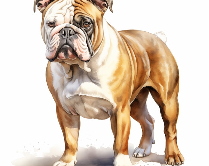 English Bulldog Clipart, British Bulldog Dog Images, 10 Watercolor Clip Art, Printable JPGs, Instant Download, Commercial Use, Paper craft
