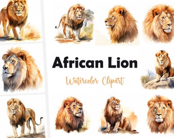 10 Lion, lion d'Afrique JPG, clipart aquarelle, fichiers JPG de haute qualité, téléchargement numérique, haute résolution, usage Commercial