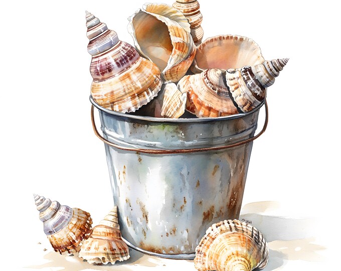 Seashells In Bucket Clipart, Sea Shells Bucket Images, 10 Watercolor Clip Art, Printable JPGs, Instant Download, Commercial Use, Paper craft