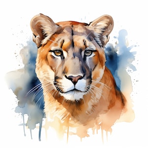 Imágenes prediseñadas de puma, imágenes de leones de montaña, 10 imágenes prediseñadas de acuarela, JPG imprimibles, descarga instantánea, uso comercial, artesanía de papel