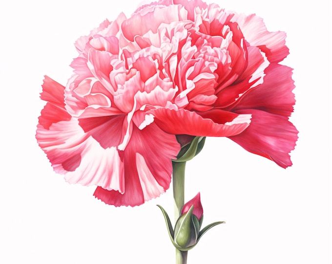 Carnation Clipart, Pink Flower Images, 10 Watercolor Clip Art, Printable JPGs, Instant Download, Commercial Use, Paper Craft