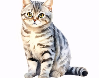 British Shorthair Clipart: Watercolor Tabby Cat Images (Commercial Use, JPGs, Digital Download)