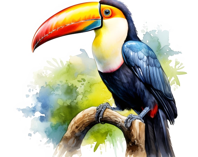 Toucan Clipart, Tropical Bird Images, 10 Watercolor Clip Art, Printable JPGs, Instant Download, Commercial Use, Paper craft
