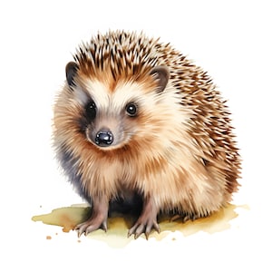 Hedgehog Clipart, Cartoon Hedgehog Images, 10 Watercolor Clip Art, Printable JPGs, Instant Download, Commercial Use, Paper craft