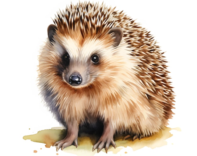 Hedgehog Clipart, Cartoon Hedgehog Images, 10 Watercolor Clip Art, Printable JPGs, Instant Download, Commercial Use, Paper craft