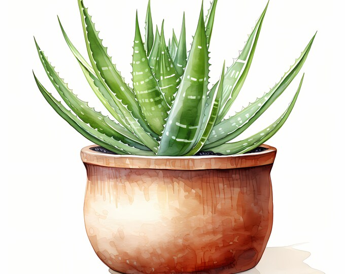 Aloe Vera Clipart, Aloe Vera in Pot Images, 10 Watercolor Clip Art, Printable JPGs, Instant Download, Commercial Use, Paper craft