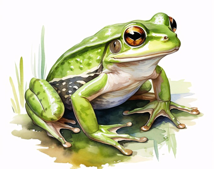 Green Frog Clipart, Realistic Frog Images, 10 Watercolor Clip Art, Printable JPGs, Instant Download, Commercial Use, Paper craft