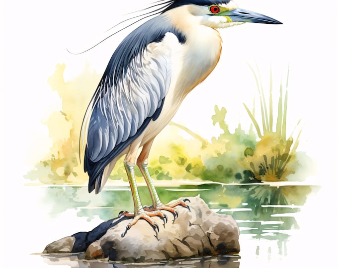 Night Heron Clipart, Water Bird Images, 10 Watercolor Clip Art, Printable JPGs, Instant Download, Commercial Use, Paper Craft