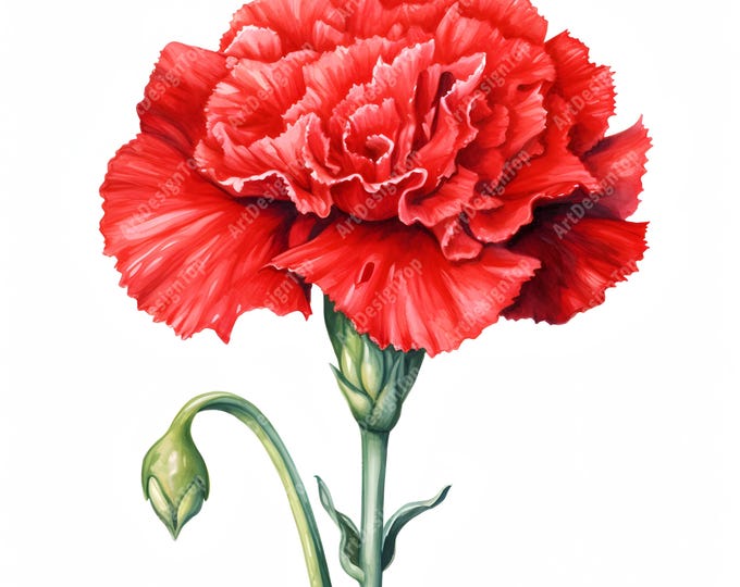 Red Carnation Clipart, Carnation Bouquet Images, 10 Watercolor Clip Art, Printable JPGs, Instant Download, Commercial Use, Paper craft