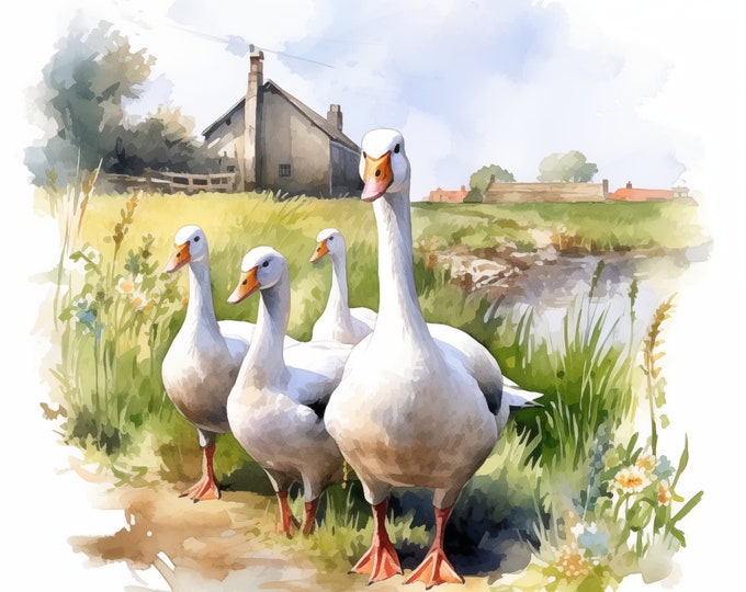 Geese Clipart, Farm Goose Images, 12 Watercolor Clip Art, Printable JPGs, Instant Download, Commercial Use, Paper craft