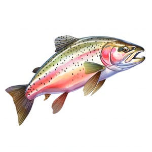 Rainbow Trout Clipart, Trout Fish Images, 10 Watercolor Clip Art, Printable JPGs, Instant Download, Commercial Use, Paper craft