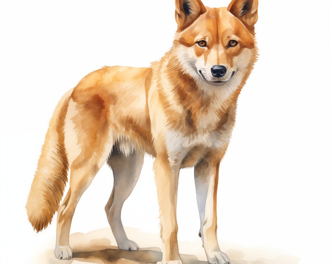 Dingo Clipart, Dingo Images, 10 Watercolor Clip Art, Printable JPGs, Instant Download, Commercial Use, Paper craft