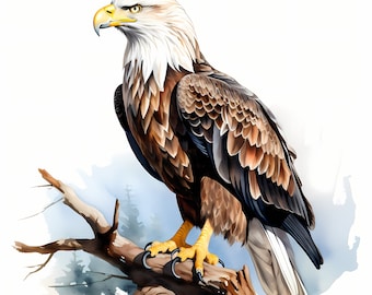 Watercolor Bald Eagle Clipart: Printable American Eagle JPGs (Digital Download)