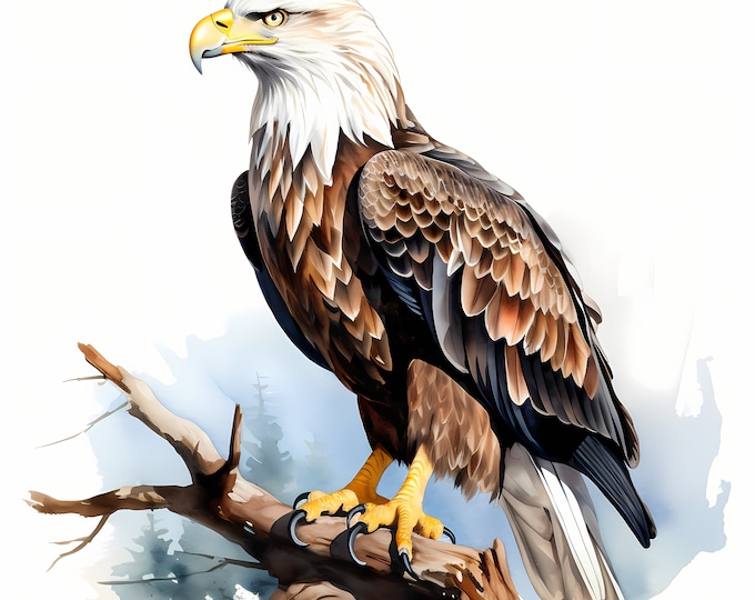 Eagle Clipart, Bald American Eagle Images, 10 Watercolor Clip Art, Printable JPGs, Instant Download, Commercial Use, Paper craft