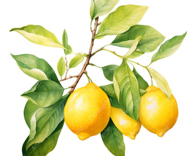 Lemon Branch Clipart, Lemon And Leaves Images, 10 Watercolor Clip Art, Printable JPGs, Instant Download, Commercial Use, Paper craft