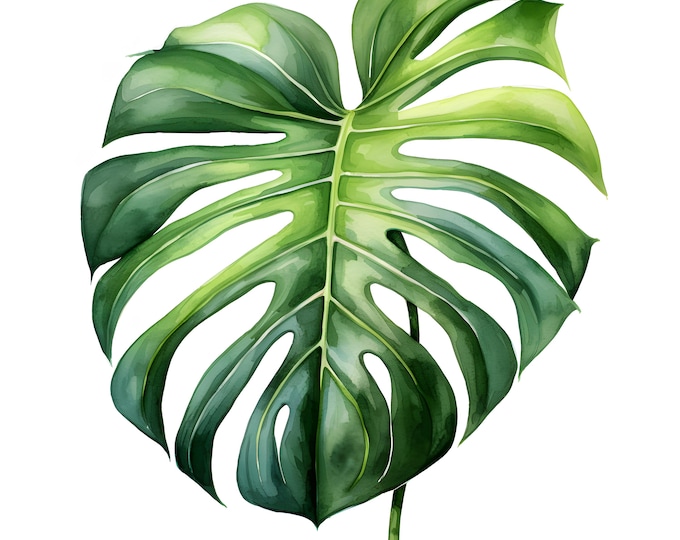 Monstera Clipart, Monstera Leaves Images, 10 Watercolor Clip Art, Printable JPGs, Instant Download, Commercial Use, Paper craft