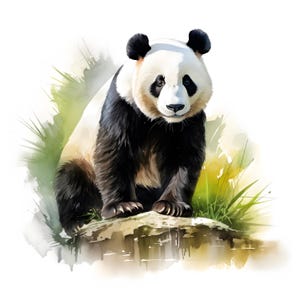 May include: A black and white panda bear sitting on a rock with green grass and a watercolor background.