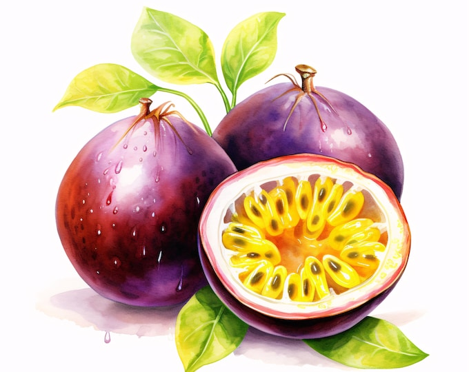 Passion Fruit Watercolor Clipart: Tropical Fruit JPG Images for Commercial Use (Instant Download 4096x4096px)