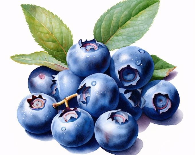 Blueberries Clipart, Fresh Berry Fruit Images, 10 Watercolor Clip Art, Printable JPGs, Instant Download, Commercial Use, Paper craft