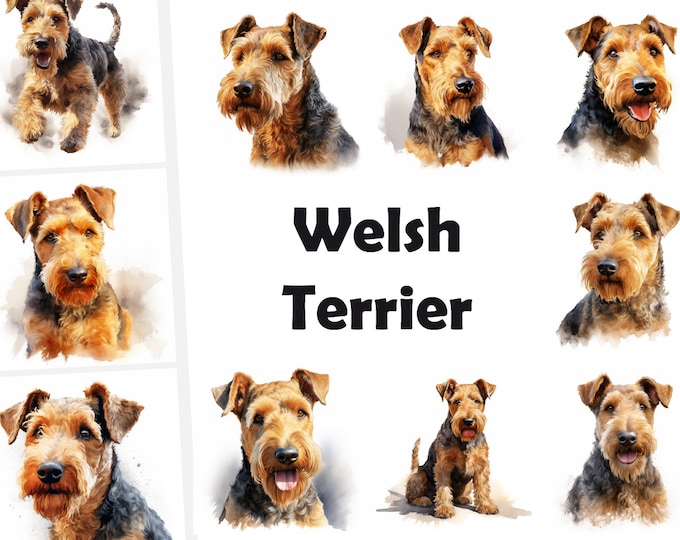 Welsh Terrier Clipart, Welsh Terrier Dog Images, 10 Watercolor Clip Art, Printable JPGs, Instant Download, Commercial Use, Paper craft