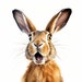 Surprised Hare, Shocked Rabbit, Forest Animal Watercolor Clipart Set ...