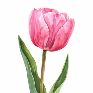 Clipart roze tulp, afbeeldingen tulpen, 10 aquarel illustraties, afdrukbare jpg's, Instant Download, Commercieel gebruik, Papercraft
