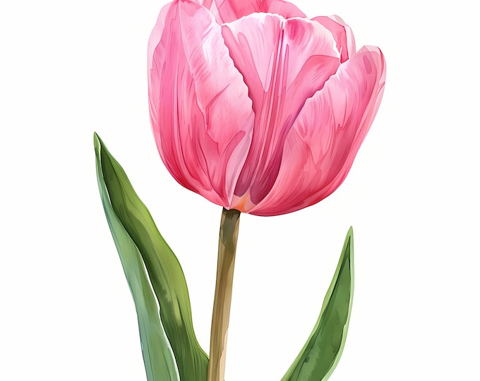 Pink Tulip Clipart, Tulips Images, 10 Watercolor Clip Art, Printable JPGs, Instant Download, Commercial Use, Paper craft