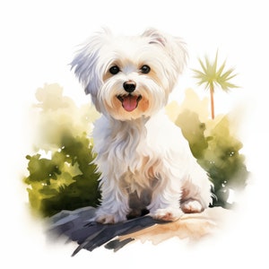 Maltese Clipart, Maltese Dog Images, 10 Watercolor Clip Art, Printable JPGs, Instant Download, Commercial Use, Paper craft