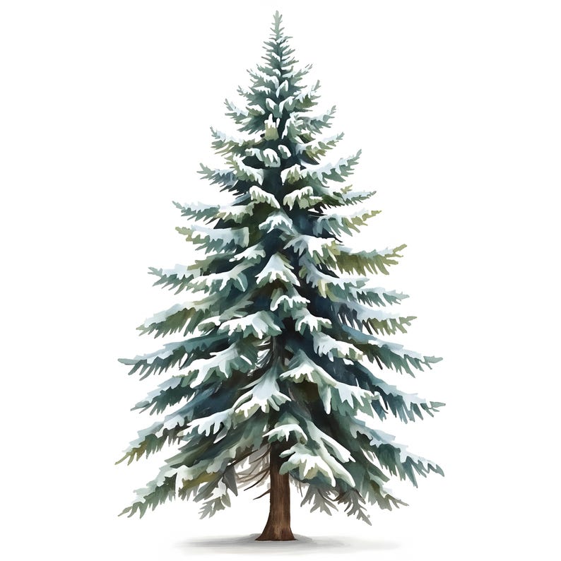 Pine Tree Clipart, Winter Tree Images, 10 Watercolor Clip Art ...