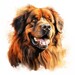 Tibetan Mastiff Clipart, Mastiff Dog Images, 10 Watercolor Clip Art ...