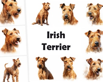 10 Irish Terrier, Irish Terrier Dog JPG, Watercolor Clipart, High Quality JPG, Digital Download, High Resolution, Commercial Use