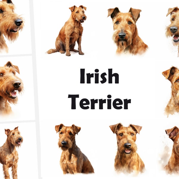 10 Irish Terrier, Irish Terrier Dog JPG, Watercolor Clipart, High Quality JPG, Digital Download, High Resolution, Commercial Use