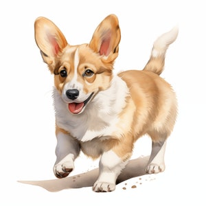 Welsh Corgis Hund Clipart, Welpe Hund Bilder, 10 Aquarell Clip Art, druckbare JPGs, Sofort Download, kommerzielle Nutzung, Papiermodell